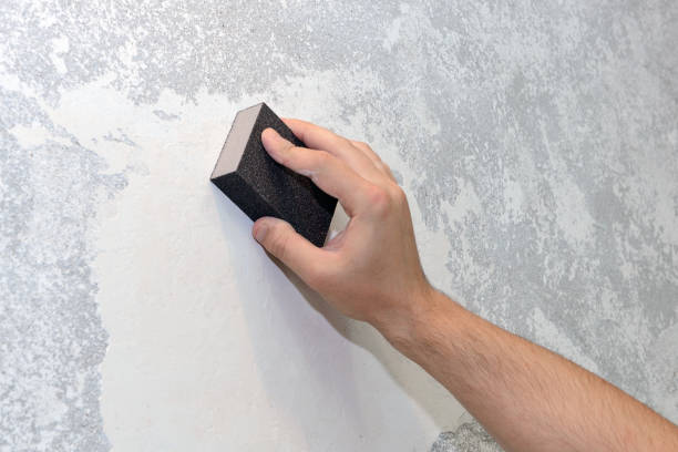 Best Mold-Related Health Consultation  in Milwaukee, WI