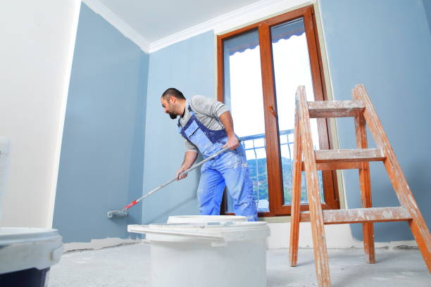 Best Black Mold Removal  in Milwaukee, WI