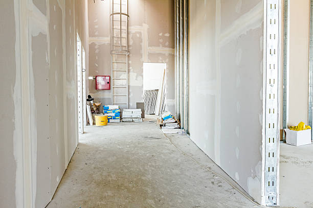 Mold Documentation for Insurance Claims in Milwaukee, WI